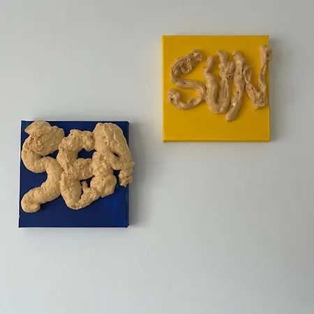 Blankeduyn كوكسيجدي