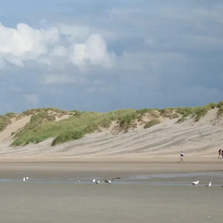 דירה Blankeduyn קוקסיידה